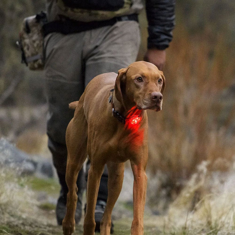 Load image into Gallery viewer, Ruffwear The Beacon Safety Light