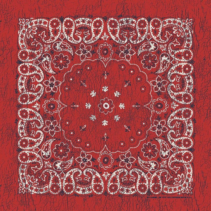 Load image into Gallery viewer, Bandana XL 27 x 27 Cotton