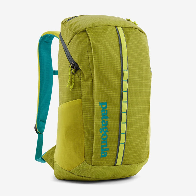 Load image into Gallery viewer, Patagonia Black Hole Pack 25L
