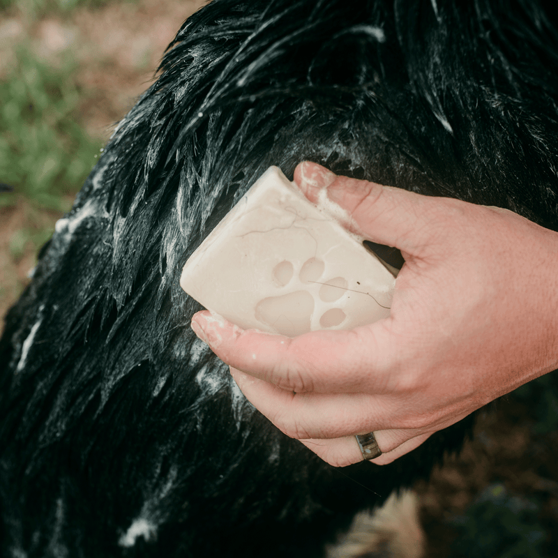 Load image into Gallery viewer, Zero Waste Pet Shampoo Bar - Zero Waste Dog Shampoo, All Natural, Vegan, Plastic Free, 4oz