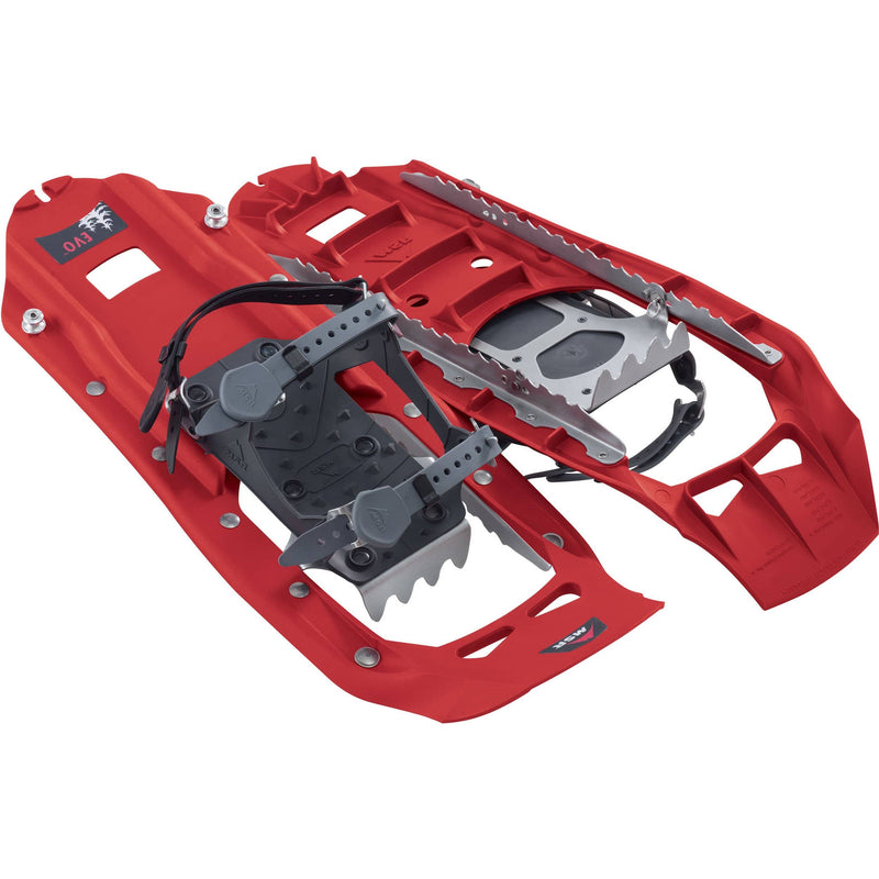 Load image into Gallery viewer, MSR Evo 22 Snowshoes