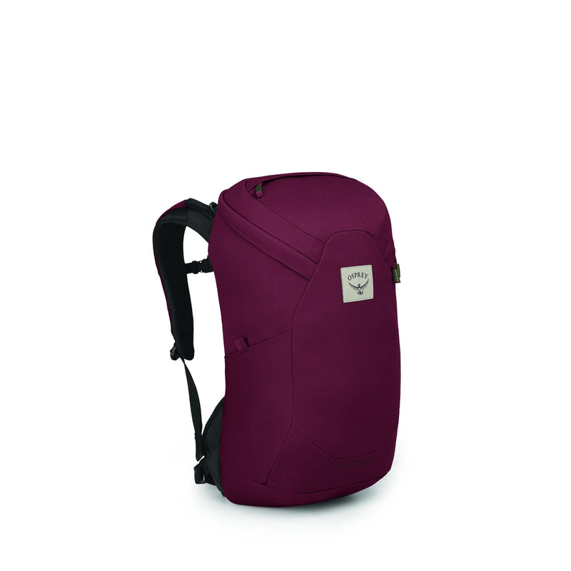 Load image into Gallery viewer, Osprey Archeon 24 Daypack