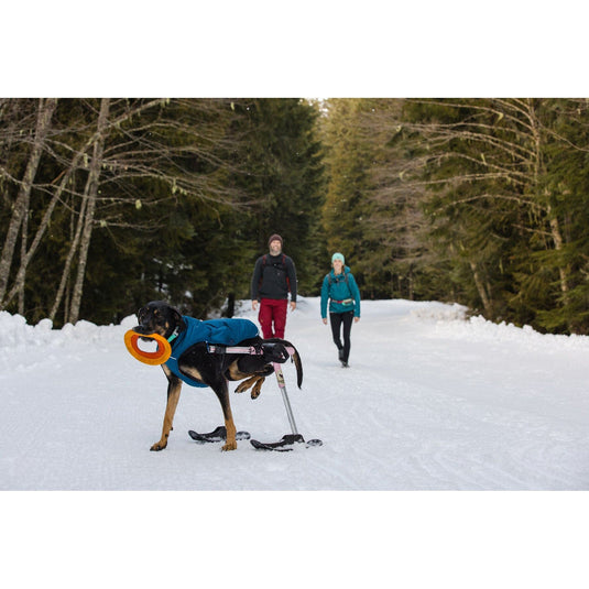 Ruffwear Quinzee Dog Jacket
