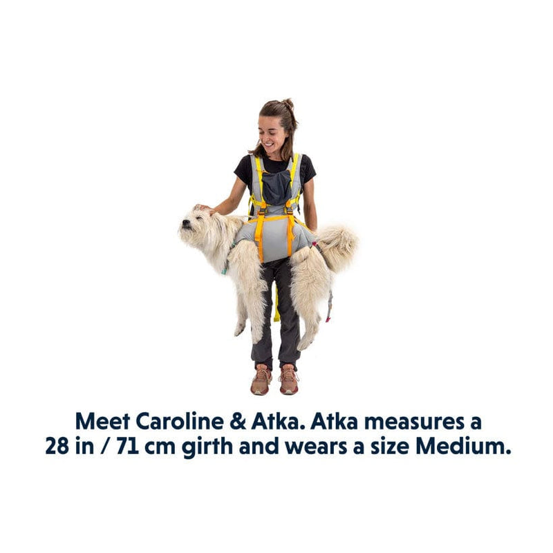 Load image into Gallery viewer, Ruffwear BackTrak™ Dog Evacuation Kit
