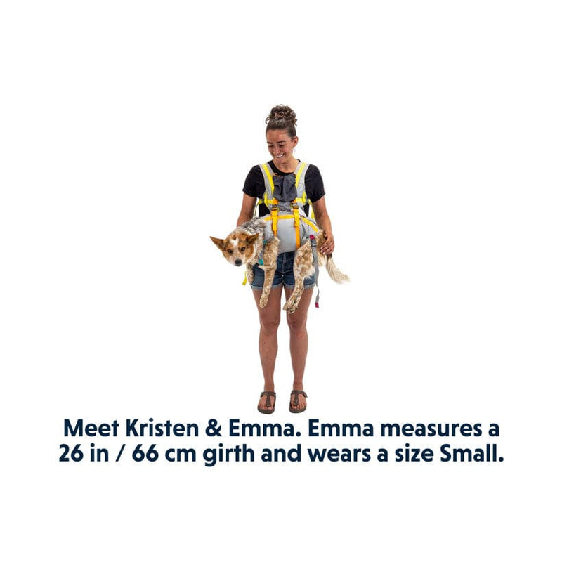 Load image into Gallery viewer, Ruffwear BackTrak™ Dog Evacuation Kit
