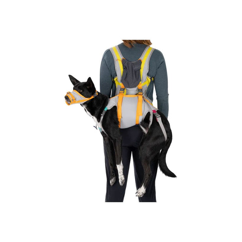 Load image into Gallery viewer, Ruffwear BackTrak™ Dog Evacuation Kit
