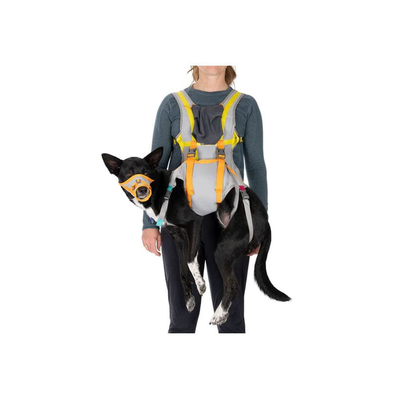 Load image into Gallery viewer, Ruffwear BackTrak™ Dog Evacuation Kit
