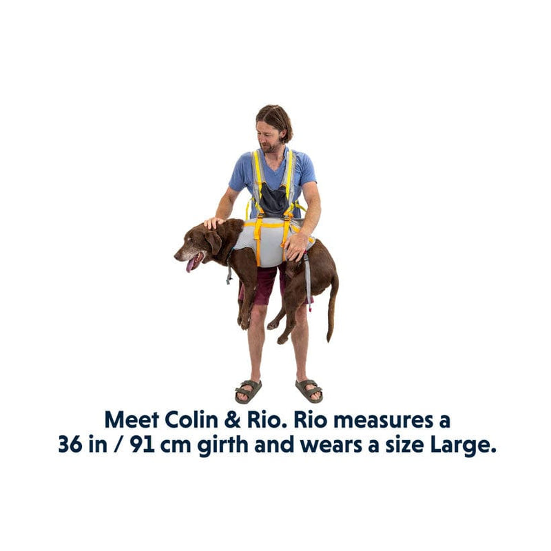 Load image into Gallery viewer, Ruffwear BackTrak™ Dog Evacuation Kit
