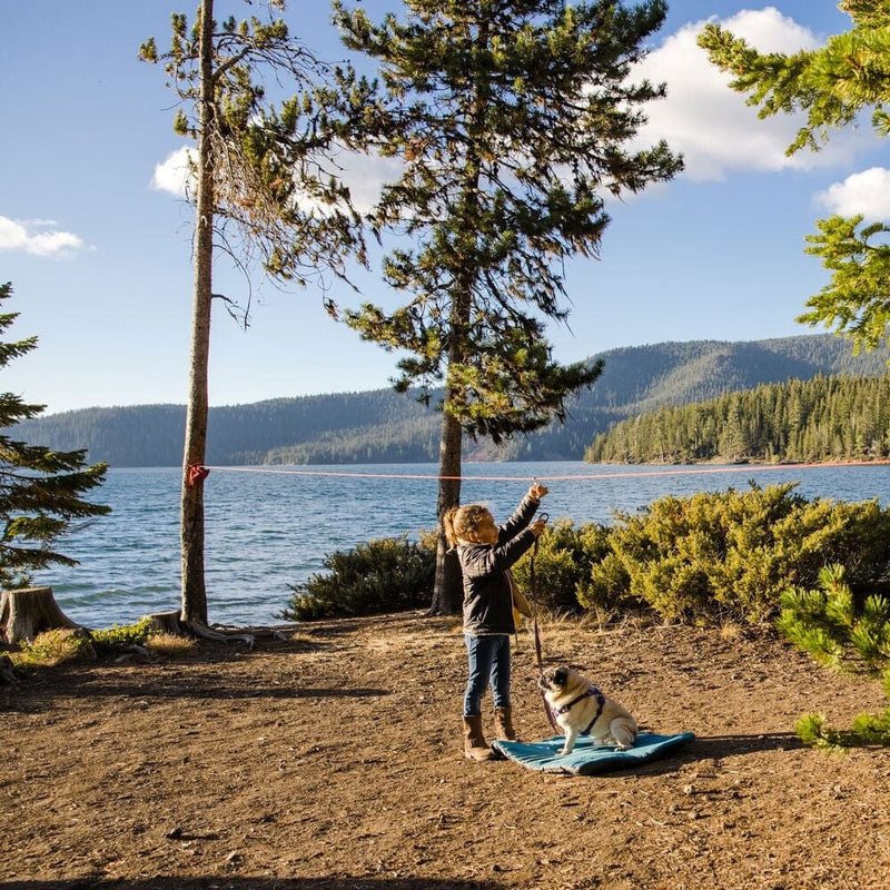 Load image into Gallery viewer, Ruffwear Knot-a-Hitch™
