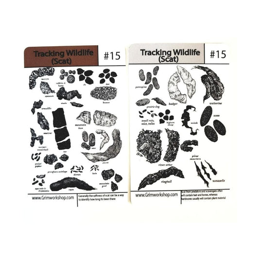 Grim Workshop Tip Card: