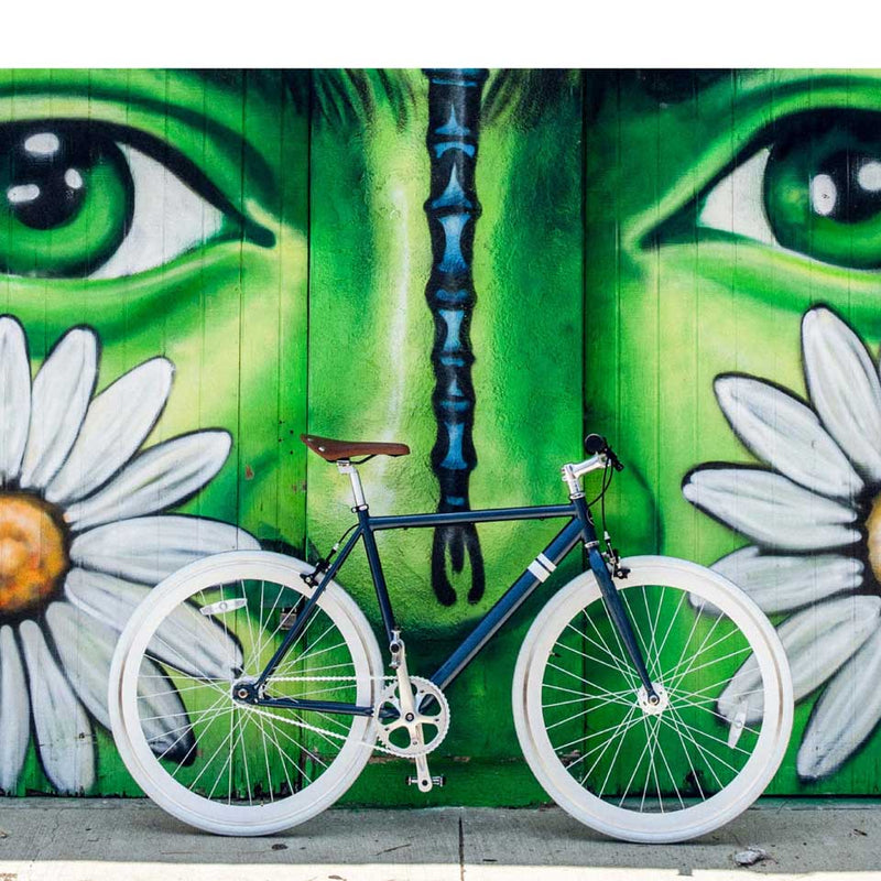 Load image into Gallery viewer, Sole Single Speed Bicycles the WHALER V2 Bike

