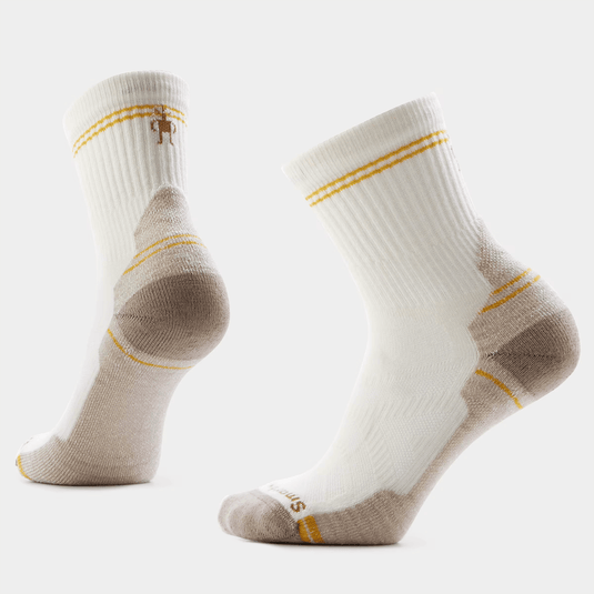 SmartWool Women's Performance Hike Light Cushion Mid Crew Socks