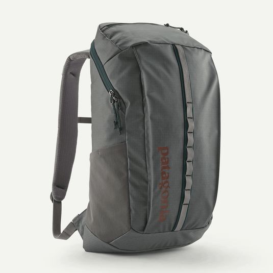Gray backpack with Patagonia branding on a white background