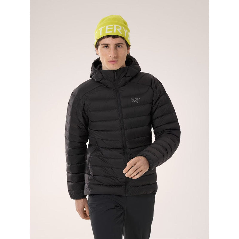 Load image into Gallery viewer, Arc'teryx Men's Cerium Hoody
