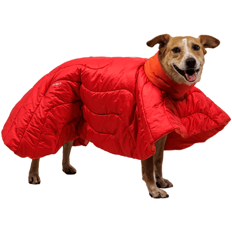 Load image into Gallery viewer, Dog wearing a red puffer coat on a white background
