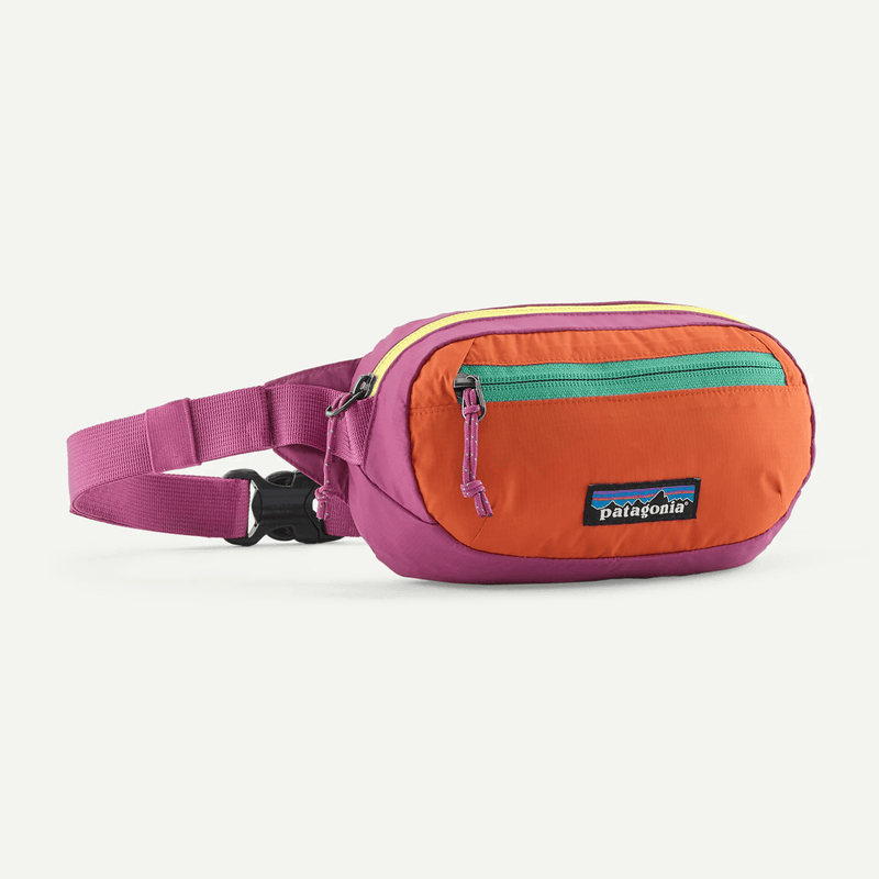 Load image into Gallery viewer, Colorful waist bag with Patagonia logo on a white background
