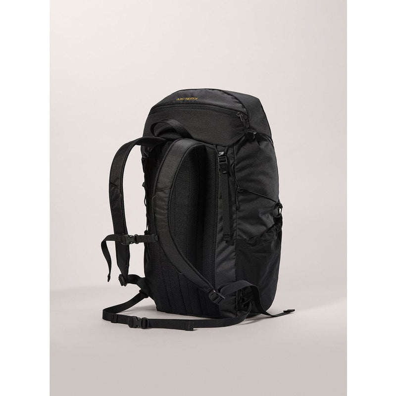 Load image into Gallery viewer, Arc'teryx Mantis 30 Backpack
