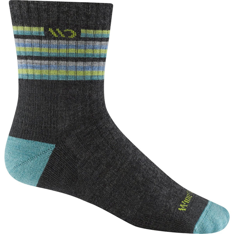 Load image into Gallery viewer, Wide Open by Darn Tough Women's Multi Stripe Midweight Micro Crew Sock
