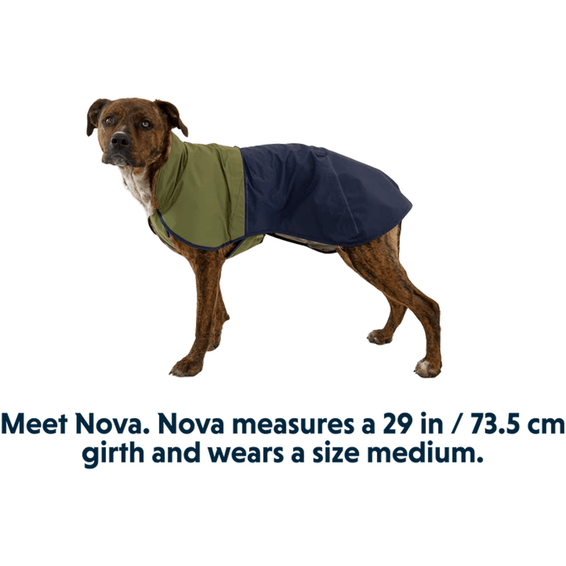 Load image into Gallery viewer, Dog wearing a green and navy coat on a white background
