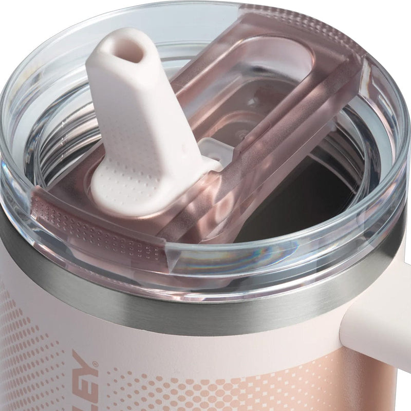 Load image into Gallery viewer, Stanley The Quencher ProTour Flip Straw 20 oz. Tumbler
