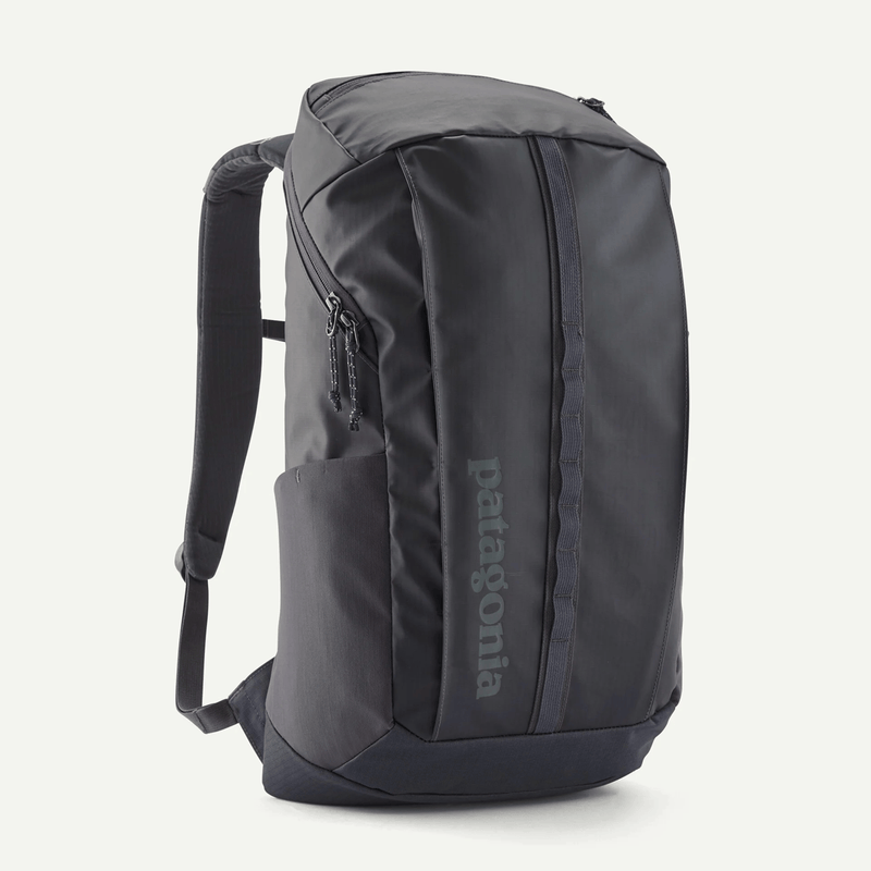 Load image into Gallery viewer, Gray backpack with Patagonia branding on a white background
