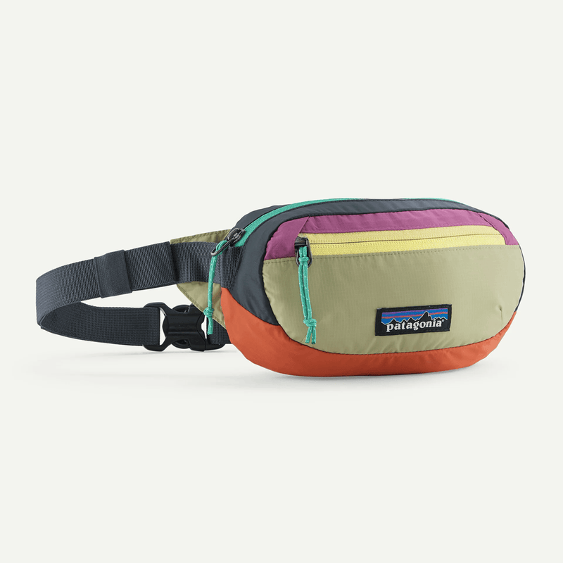 Load image into Gallery viewer, Colorful waist bag with Patagonia logo on a white background
