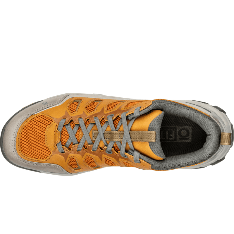 Load image into Gallery viewer, Oboz Men's Sawtooth X Pro Low Hiking Shoes
