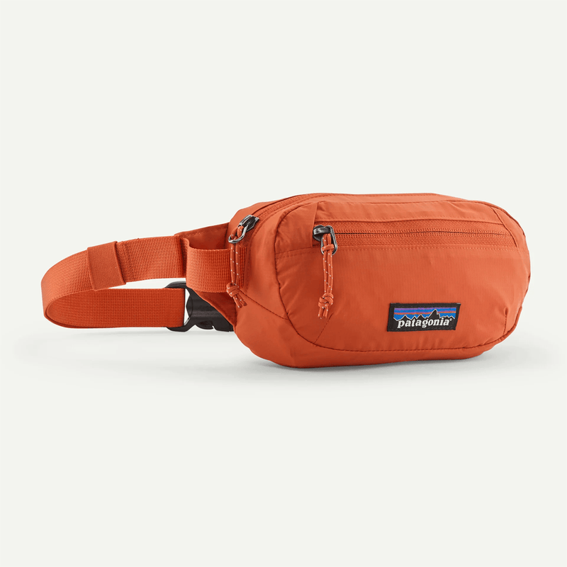 Load image into Gallery viewer, Orange waist bag with Patagonia logo on a white background
