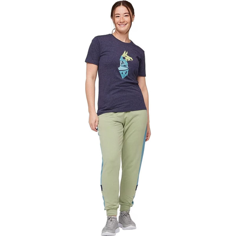 Load image into Gallery viewer, Cotopaxi Women's Bandera Jogger
