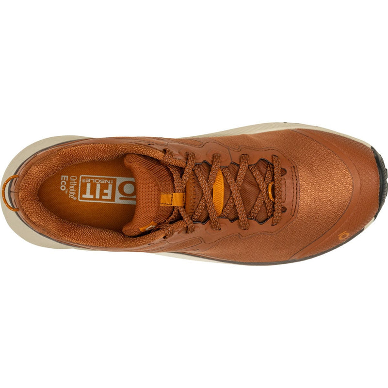 Load image into Gallery viewer, Oboz Men's Katabatic Wind Low Hiking Shoe
