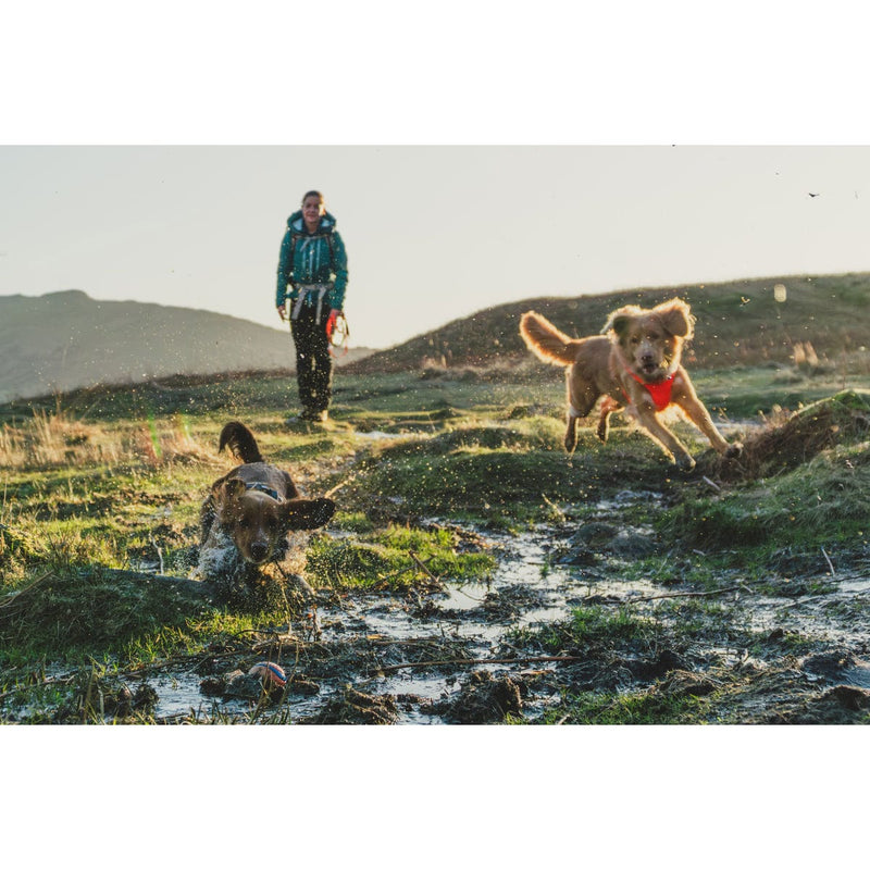 Load image into Gallery viewer, Ruffwear Front Range Harness
