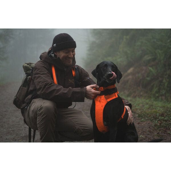 Load image into Gallery viewer, Ruffwear Front Range Harness
