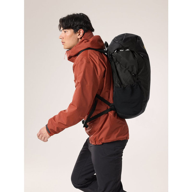Load image into Gallery viewer, Arc'teryx Mantis 30 Backpack
