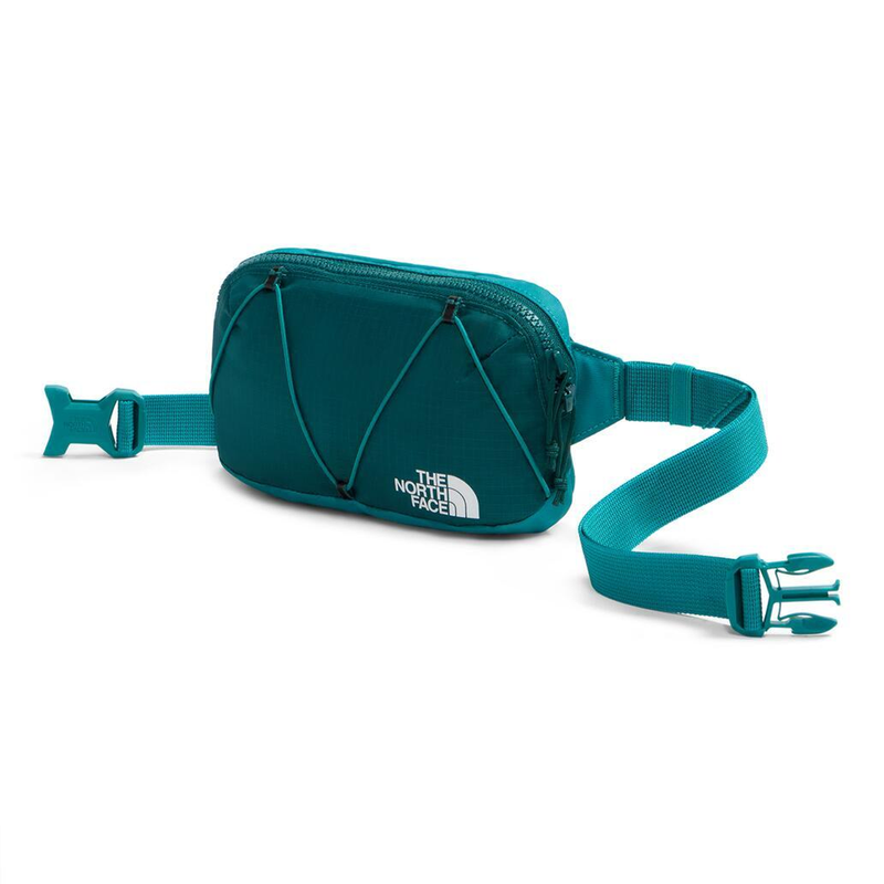 Load image into Gallery viewer, The North Face Terra Lumbar 1L Pack
