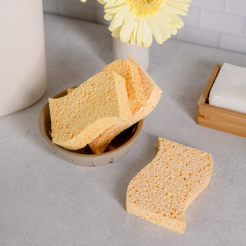 Load image into Gallery viewer, Cellulose Kitchen Sponges by Zero Waste

