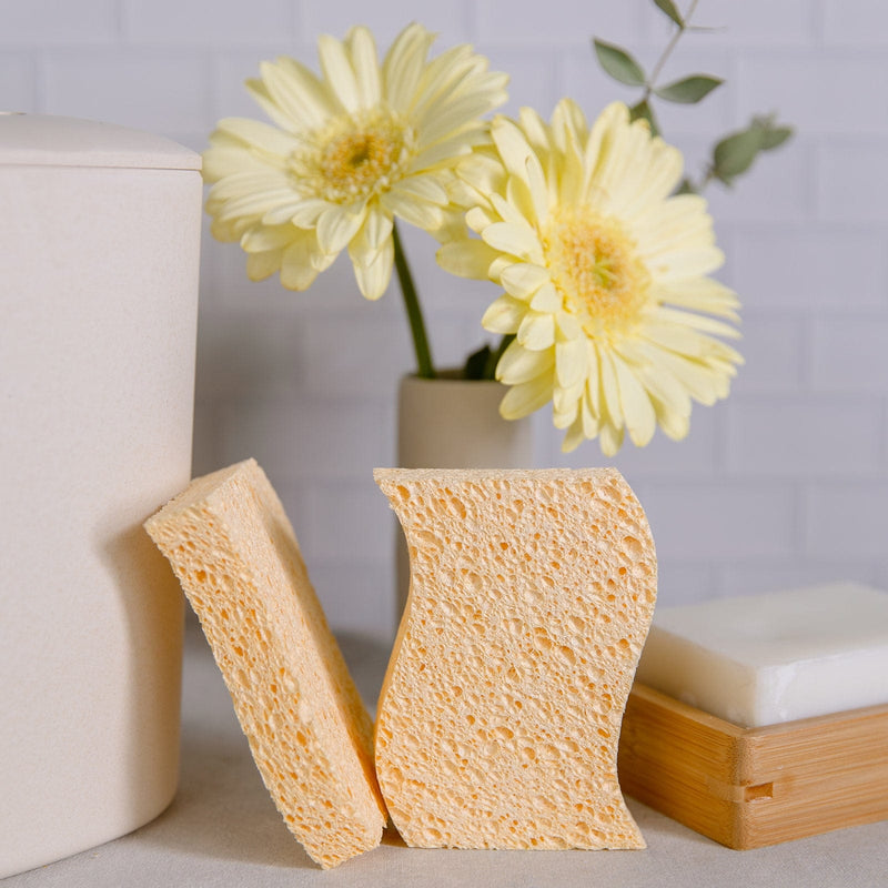Load image into Gallery viewer, Cellulose Kitchen Sponges by Zero Waste
