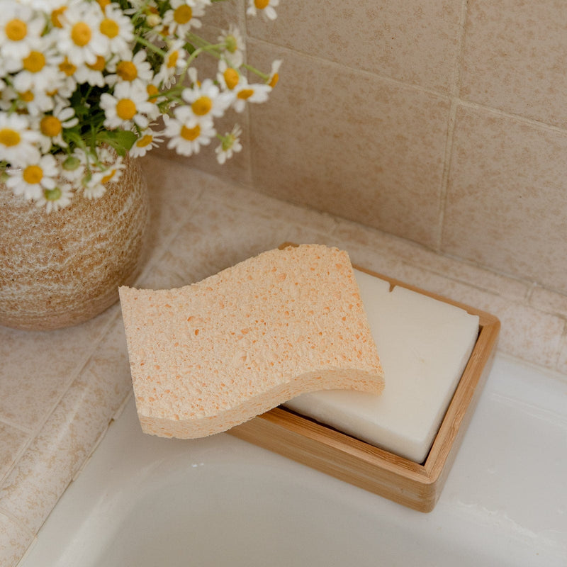 Load image into Gallery viewer, Cellulose Kitchen Sponges by Zero Waste
