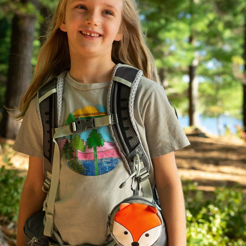 Load image into Gallery viewer, Adventure Medical Kits Backyard Adventure Fox

