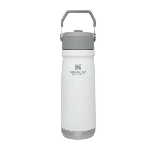 Load image into Gallery viewer, Stanley The IceFlow Flip Straw 22oz. Water Bottle
