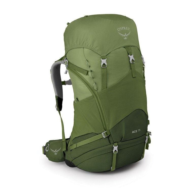 Load image into Gallery viewer, Osprey Ace 75 Kid's Pack
