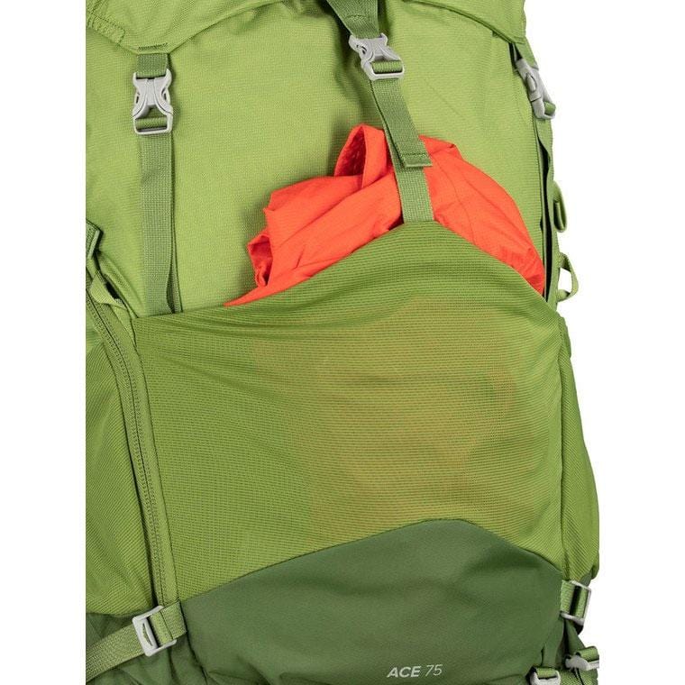 Load image into Gallery viewer, Osprey Ace 75 Kid's Pack
