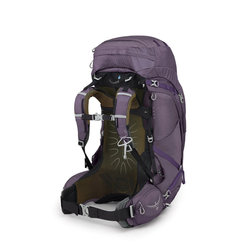 Load image into Gallery viewer, Osprey Aura AG 65 Women's Backpacking Pack

