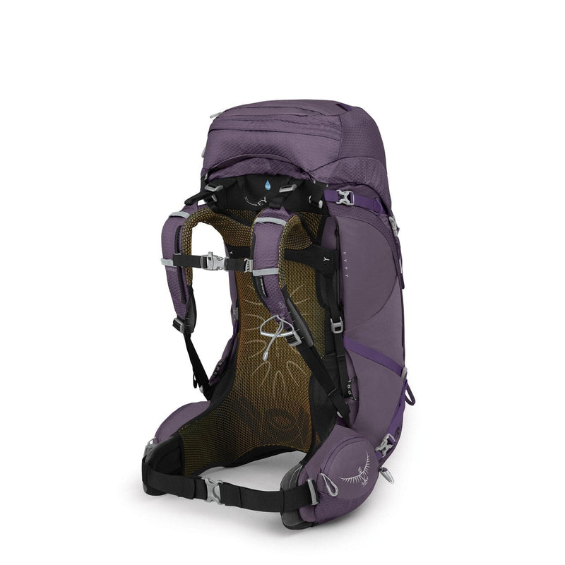 Load image into Gallery viewer, Osprey Aura AG 50 Women's Backpack
