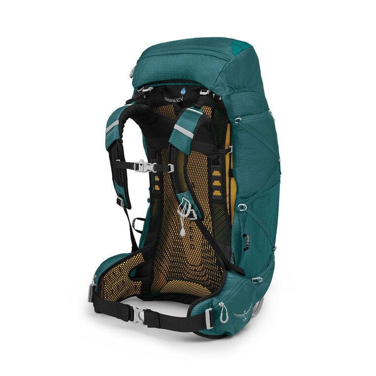 Load image into Gallery viewer, Osprey EJA 58 Women's Backpack
