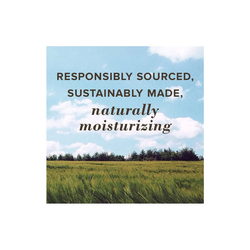 Load image into Gallery viewer, Burt's Bees SPF 15 All-Weather Moisturizing Lip Balm
