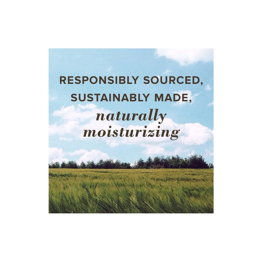 Burt's Bees SPF 15 All-Weather Moisturizing Lip Balm