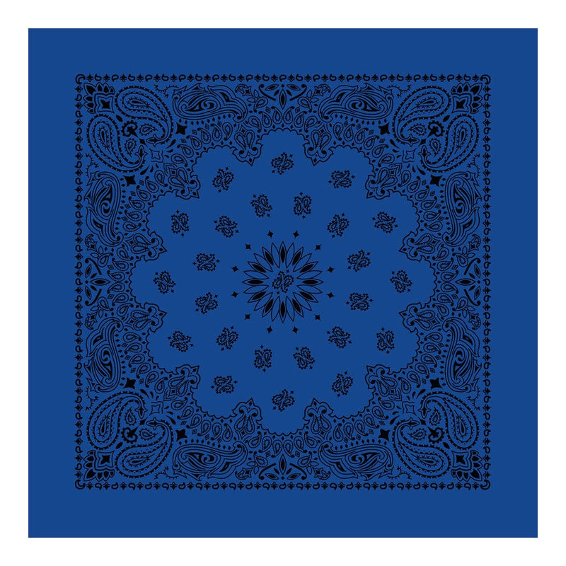 Load image into Gallery viewer, Cotton Bandanas
