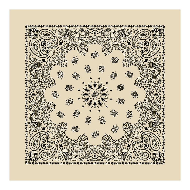 Load image into Gallery viewer, Cotton Bandanas
