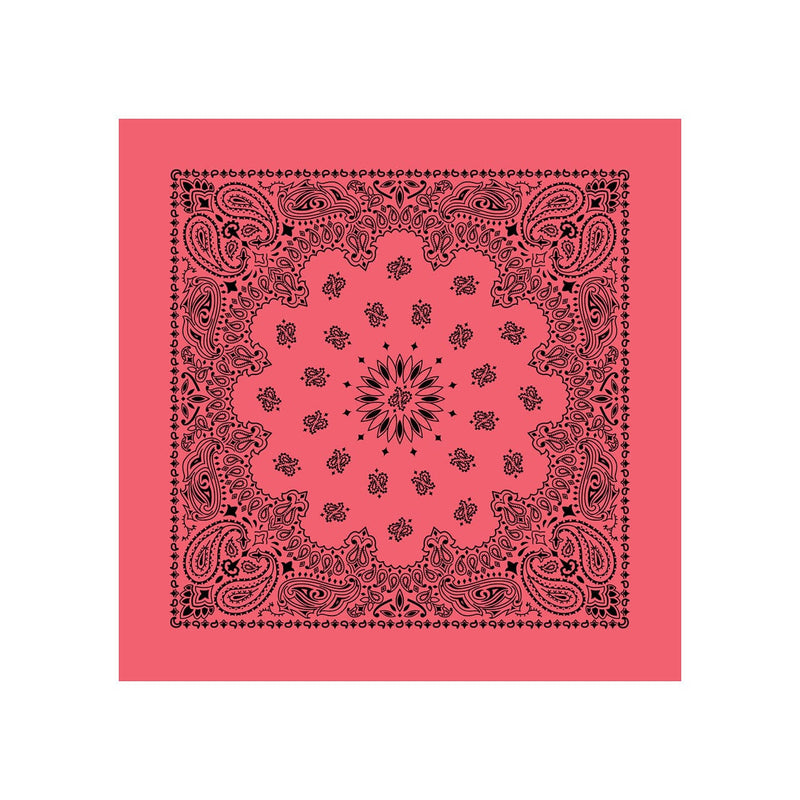 Load image into Gallery viewer, Cotton Bandanas
