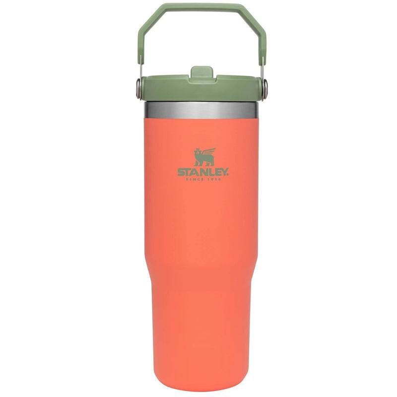 Load image into Gallery viewer, Stanley IceFlow Flip Straw Tumbler | 30 OZ
